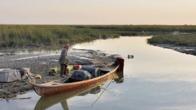 A1E79733 F2A2 4973 AF09 101E113F5499