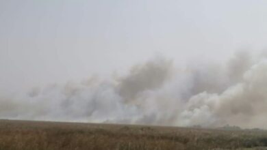 A5AF38DE B650 4A21 B8B4 8443C3F6CD83