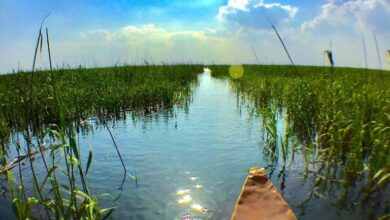 AA45F301 4B24 4F88 B6B7 F48922D8774E