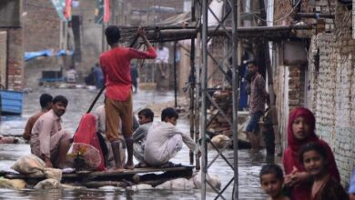 AC9BED94 C428 42B8 97CA 00A5B977E075