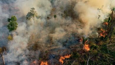 حرائق الأمازون تسجل أعلى رقم قياسي خلال 15 عاماً 5 AFC34D9D D6C7 4720 B225 5B9594BBF546