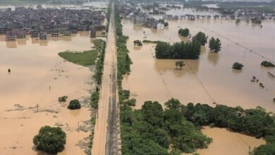 B2D338BB 4429 4FE6 AB03 35CE355F91C9