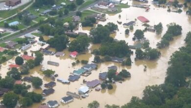 BBD357BC 0A25 4F28 B433 4FBB709170EC