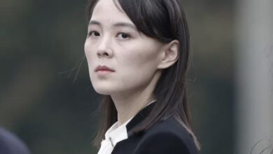 BDB95C1C EE90 45A3 BF87 A305298B49B4