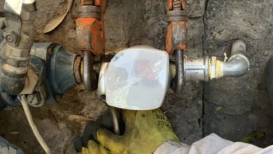 C1008CFF EEB7 44A6 B5A9 2EC8494D6BFB