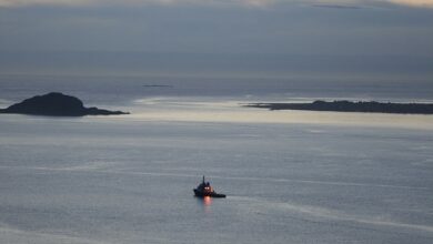 C2ADF8A6 F0B5 4DB5 862F 78E5AF511706