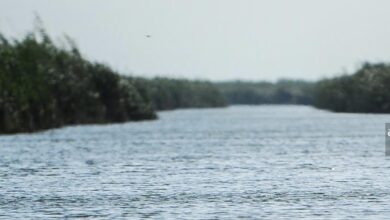 D641829E 7EF8 47CC BF8C 4647D9190FA8