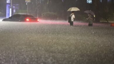 D7981EF0 4300 4805 937D 39B1E9B80322