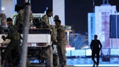 D7BE1EED C300 4A7A 8B33 B96715AE6F35