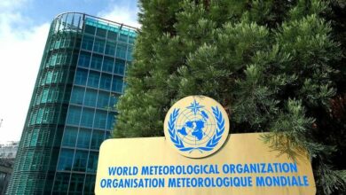 D86A29F5 74E6 4C15 92AD 291E72BF01A1