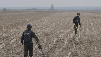 D9236D11 5BD5 45B2 84A9 3EBFDE63E0BC