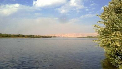 E100FDD5 8A35 4FEB A5C7 D870EADAA1AA