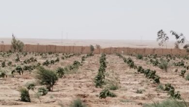 E2E1B2EC F4C5 43C2 B237 33A9B6AC7E35