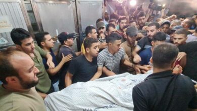 E5A7FF10 8B8D 464C A473 0D92ED5D07E8