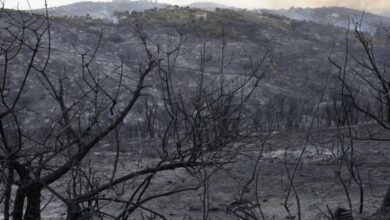 E8CD41B9 42BB 4472 9A83 BC19C10E08D0