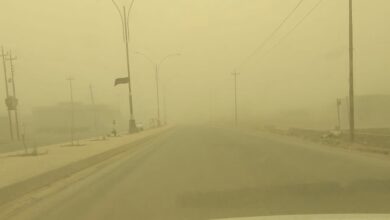 ED5FCDA3 250A 4572 82CF CDA26DD70848