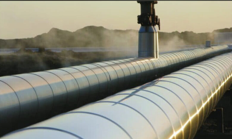 F1F8E921 4CA7 4EFE AE28 8C22FF8A67C7