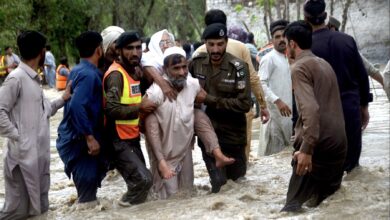 F68DC839 E40F 4C11 B353 D57B40BEA501