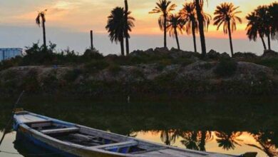 FB IMG 1660648276849 1