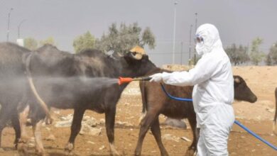 FB IMG 1661085346313