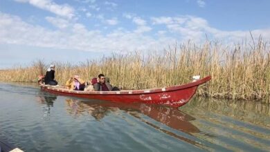 FB IMG 1661342844584