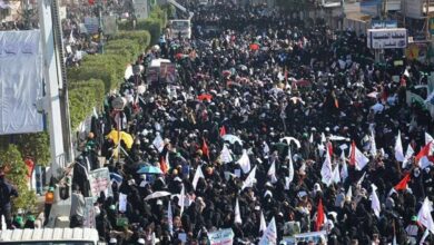 IMG 20220808 202028 182