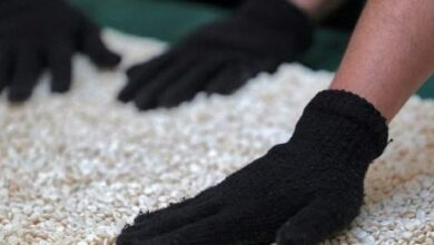 ضبط أكثر من 95 مليون حبة مخدرة في كركوك 4 IMG 20220823 103109 559