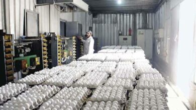 وزير الزراعة يعلن وصول الإنتاج المحلي لبيض المائدة إلى 7 مليارات بيضة 5 IMG 20220823 180930 697