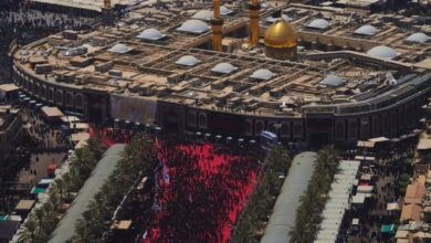 IMG ٢٠٢٢٠٨٠٩ ١٥١٥١٨