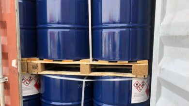 IMG ٢٠٢٢٠٨٢١ ١٥٢٨٠١