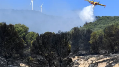 IMG ٢٠٢٢٠٨٢٢ ٠٨٢٦٥٠