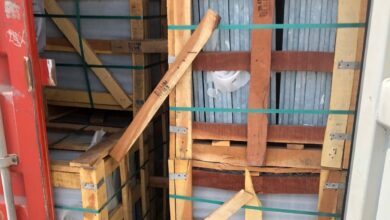 IMG ٢٠٢٢٠٨٢٣ ١٣٥٢١٣