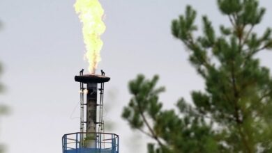 IMG ٢٠٢٢٠٨٢٤ ٠٨٢٣٥١