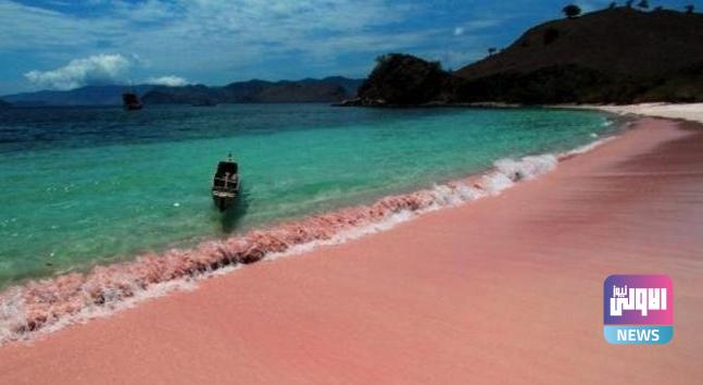 زلزال بقوة 5.8 درجة يضرب الساحل الإندونيسي 1 IMG ٢٠٢٢٠٨٢٩ ٠٨١٩١١