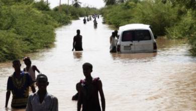 السودان حصيلة ضحايا السيول ترتفع إلى 77 قتيلاً 5 Screenshot ٢٠٢٢٠٨١٧ ٢١٥٤٢١