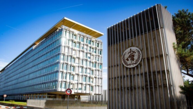 Screenshot ٢٠٢٢٠٨١٧ ٢٢١٩١٥