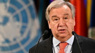 Screenshot ٢٠٢٢٠٨٢٩ ٢٣٣٣٣٩