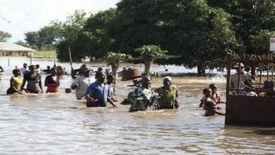 النيجر تُحصي ضحايا الأمطار الغزيرة منذ حزيران الماضي 5 upload 1659676522 1086851557