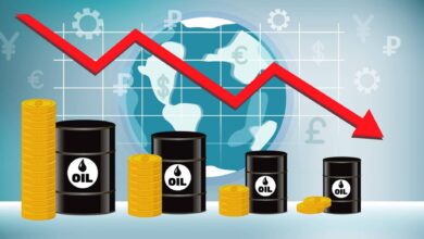 upload 1660140970 601556151.jpeg