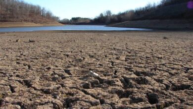 upload 1660317414 2108755039