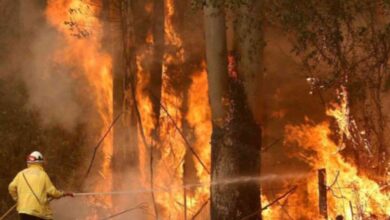 upload 1660392632 1287659175