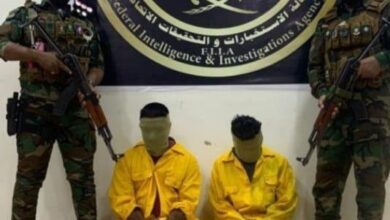 upload 1660560504 826222812