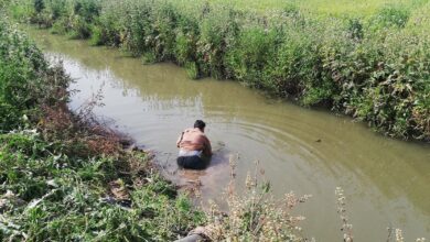 upload 1660665186 644434506.jpeg