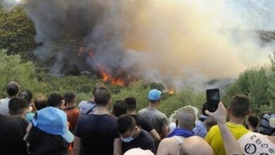 upload 1660828961 1455357963.jpeg