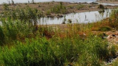 upload 1661004998 411336369