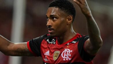 فيتينو 620x330 1