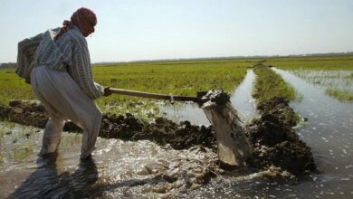 ٢٠٢٢٠٨٠٦ ١١٣١١٦