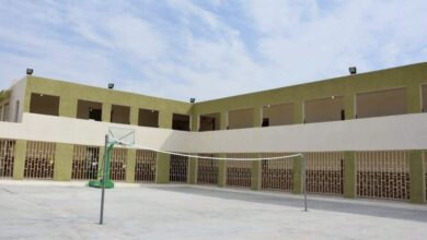 072BD779 D73D 4C08 8BF9 F4063626E11C