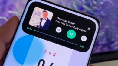 1663702432 شاومي تستعد لجلب نظام للإشعارات يحاكي Dynamic Island في هاتف 750x430 1