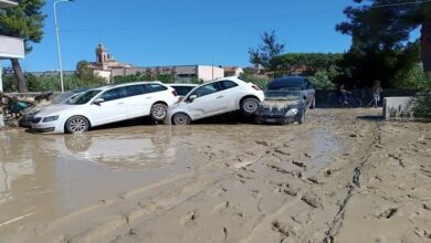 2016494B 9674 42E1 B0BD 77967E85078F